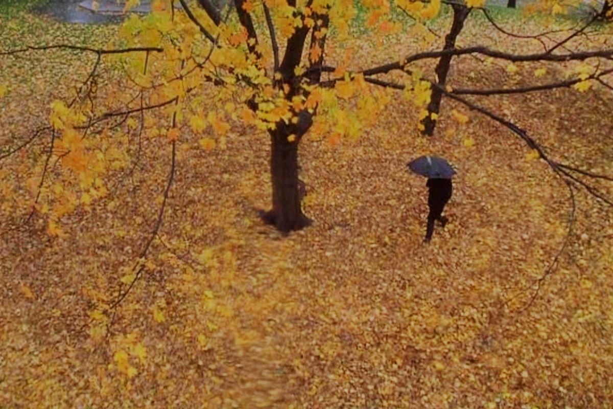 Кадры из фильма «Осень в Нью-Йорке»