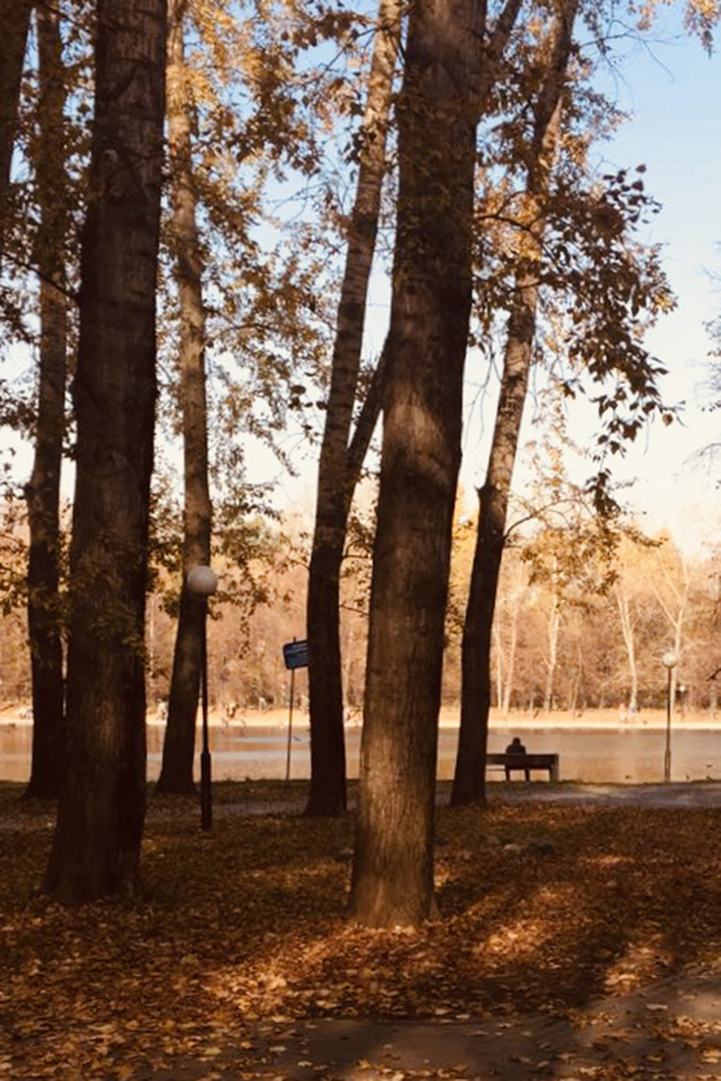 Осень в парке