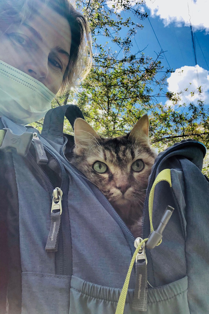 Как пережить потерю любимого кота?