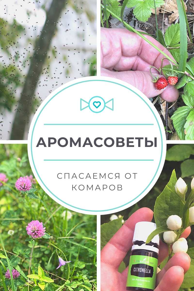 Название статьи