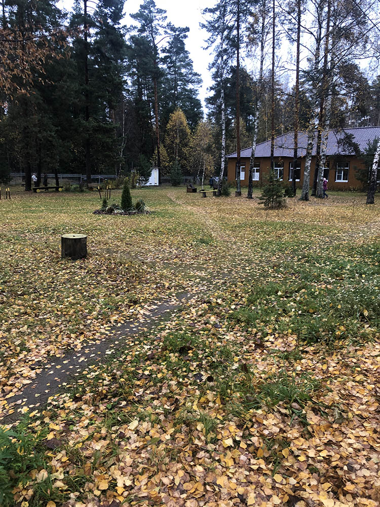 Дхамма Дуллабха
