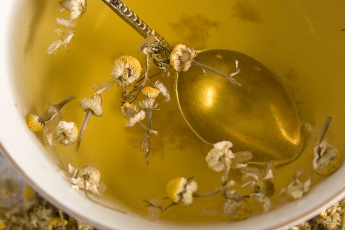 Ромашковый чай