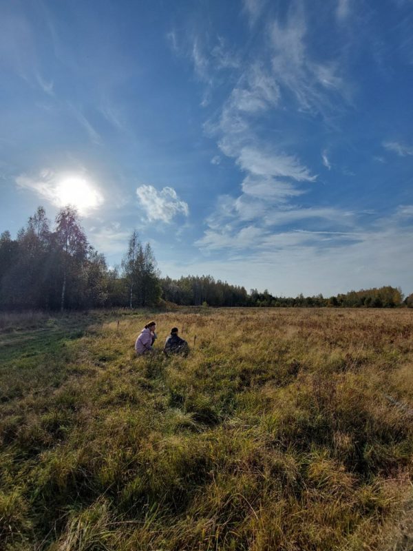 Сенсорная прогулка