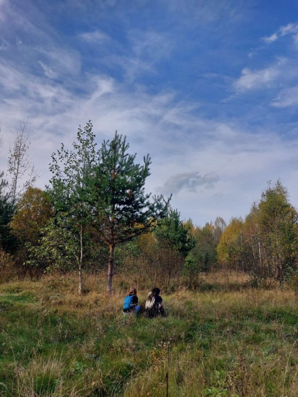 Сенсорная прогулка