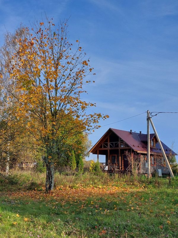 Сенсорная випассана