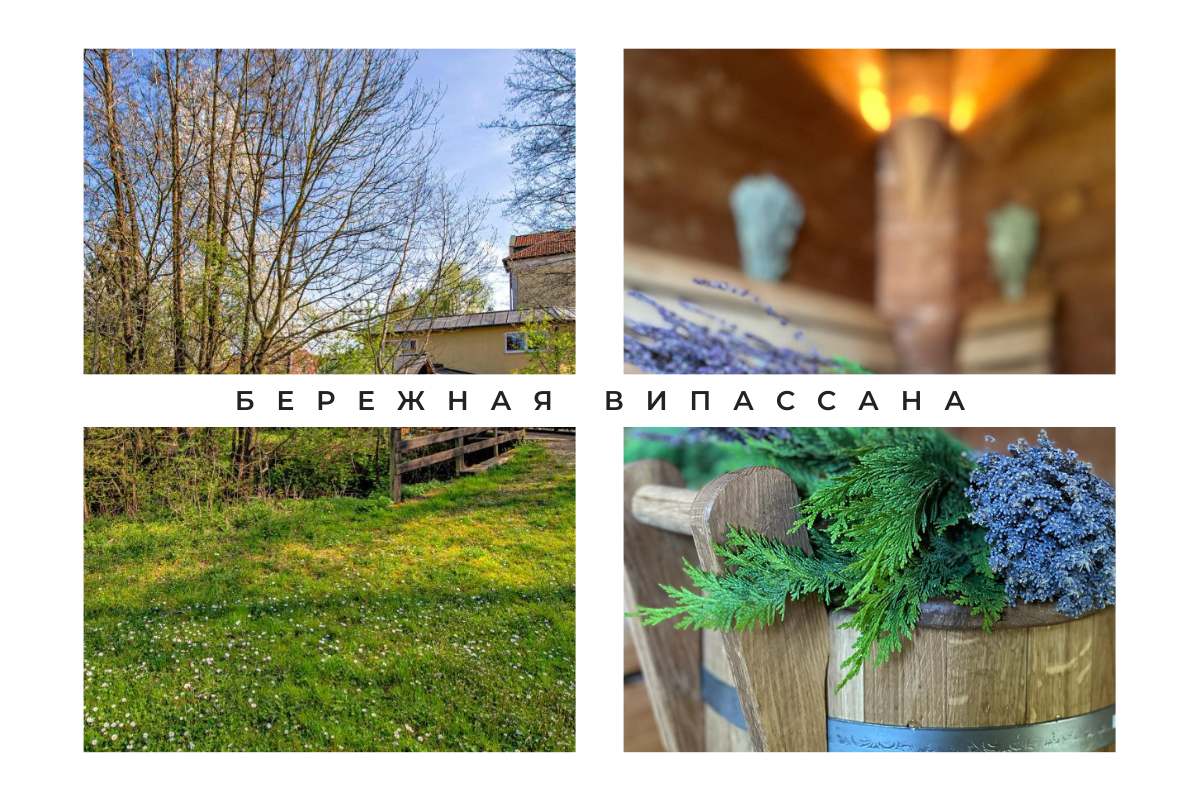 Бережная Випассана Вена