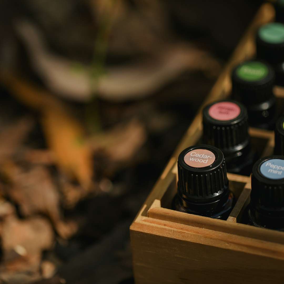 Aroma Lab Развитие обоняния