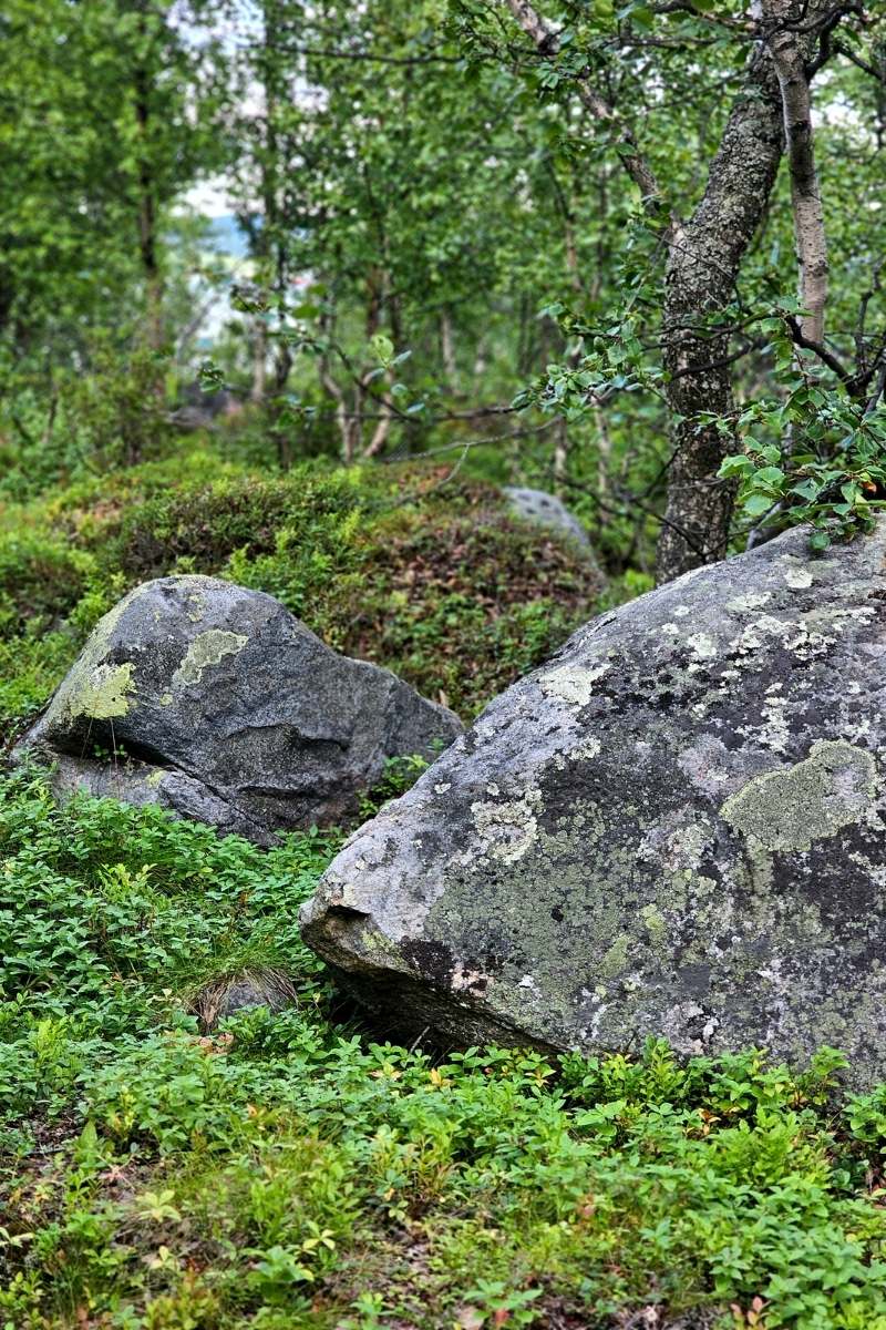 Камни Севера